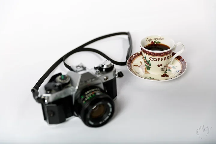 Introduction - Photo n°2