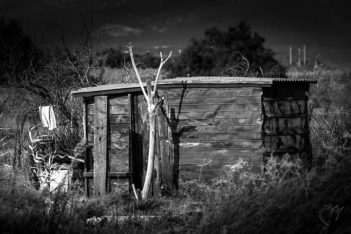Vous avez dit cabanes - Photo n°2