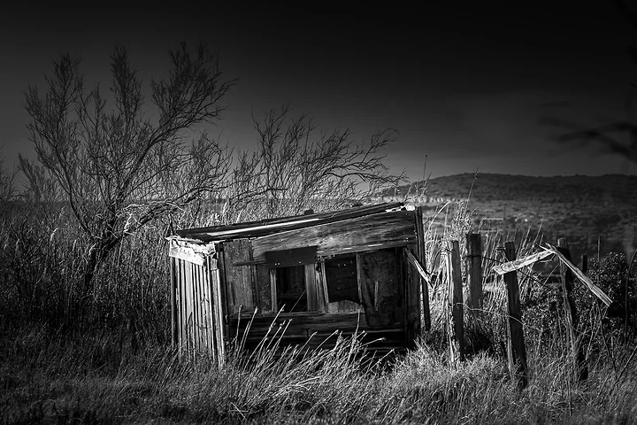 Vous avez dit cabanes - Photo n°5