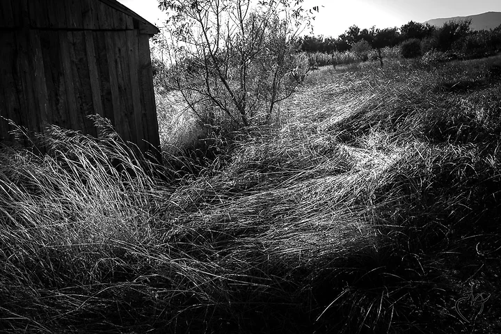 Vous avez dit cabanes - Photo n°8