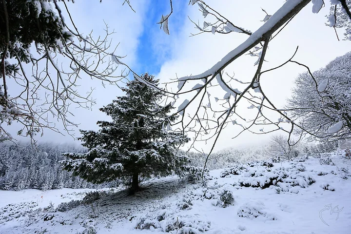Paysages de neige - Photo n°1