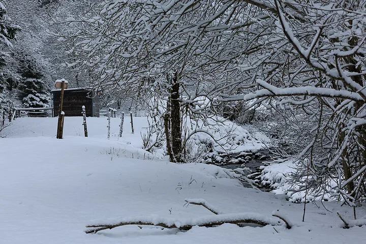 Paysages de neige - Photo n°2