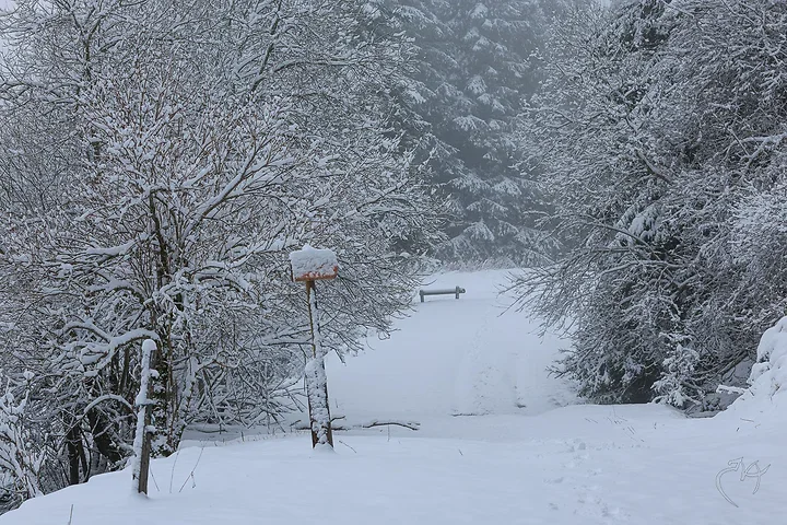 Paysages de neige - Photo n°3