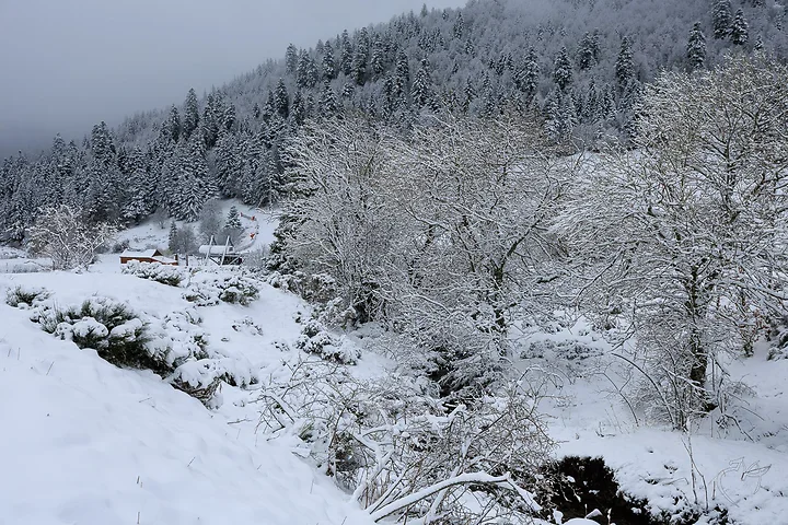 Paysages de neige - Photo n°4