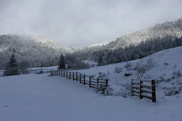 Paysages de neige - Photo n°5