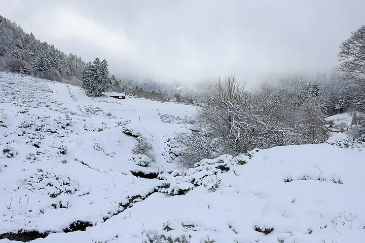 Paysages de neige - Photo n°6