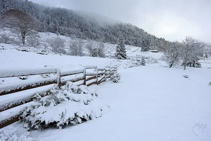 Paysages de neige - Photo n°7