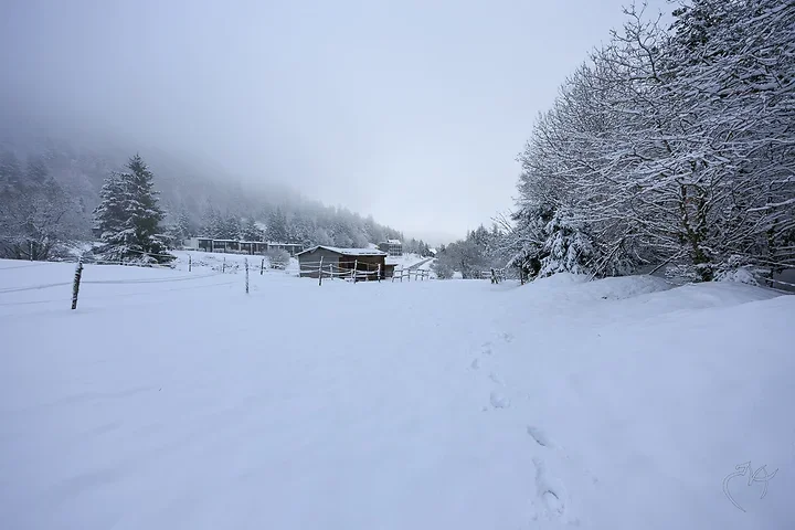 Paysages de neige - Photo n°8