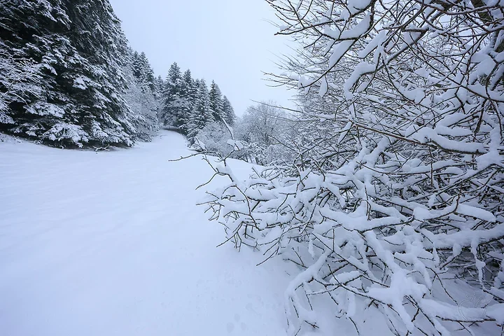 Paysages de neige - Photo n°9