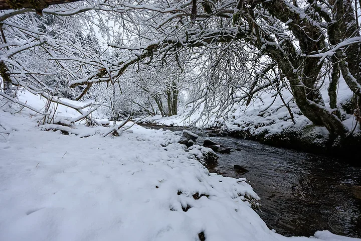 Paysages de neige - Photo n°10