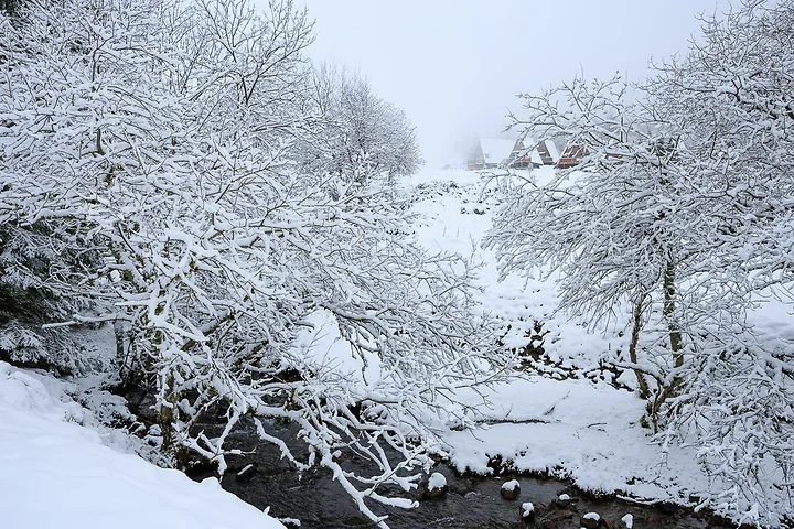 Paysages de neige - Photo n°13