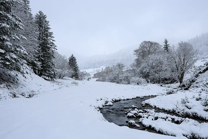 Paysages de neige - Photo n°14