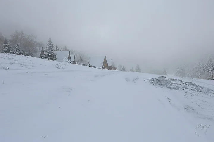 Paysages de neige - Photo n°15