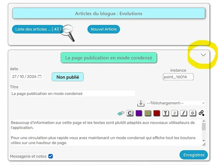 La page publication en mode condens&eacute; - Photo n°1